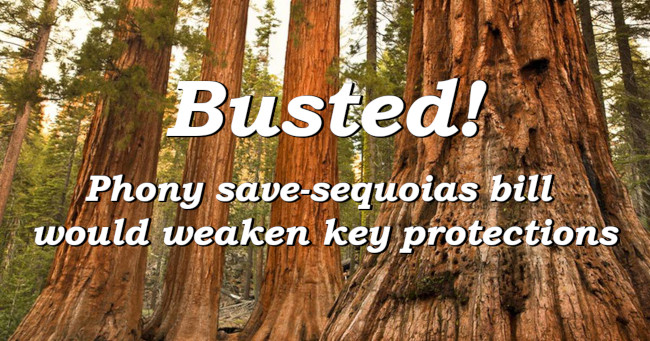 Busted! Phony save-sequoias bill would weaken key protections
