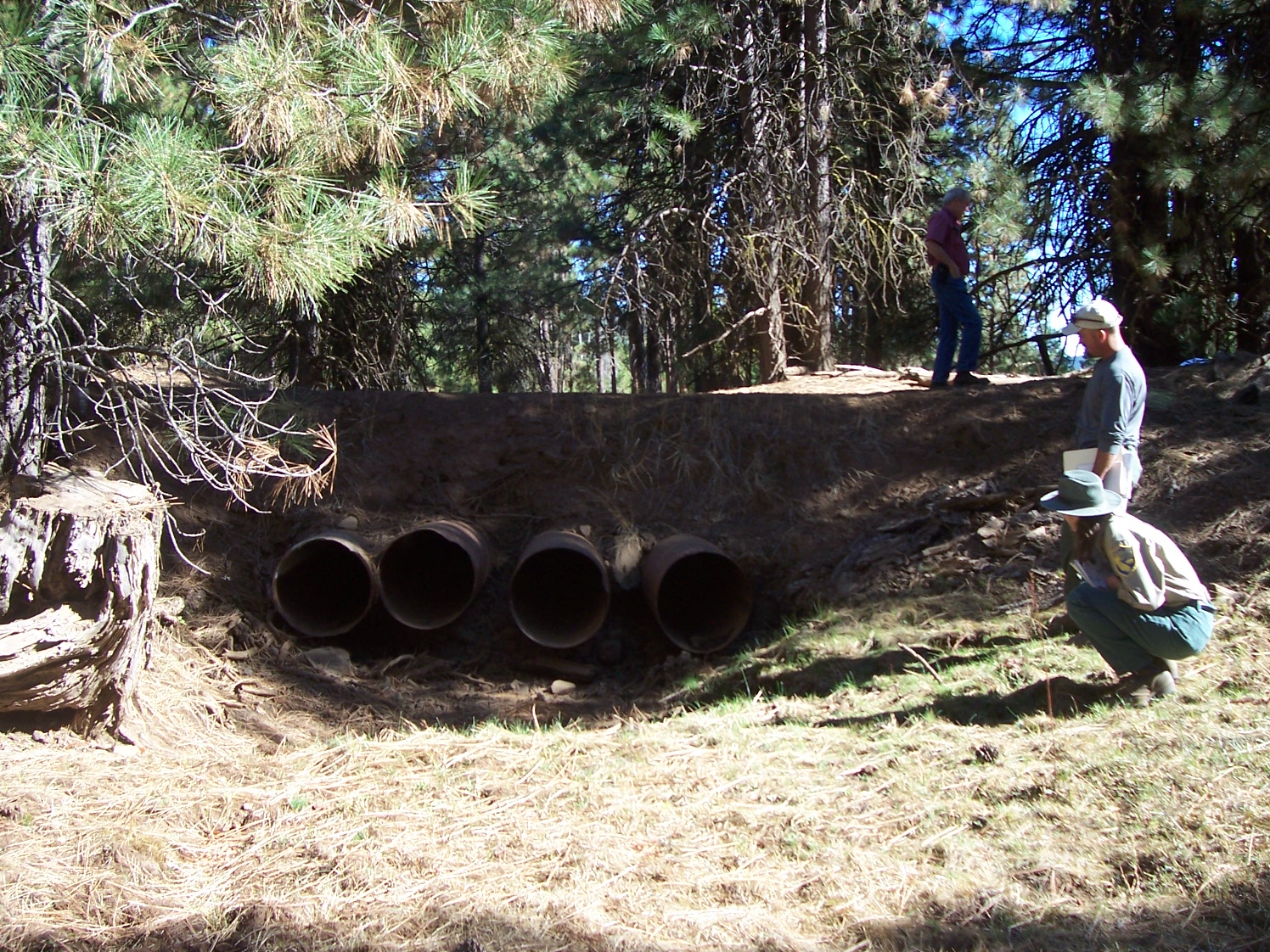 Timber Harvest Plan Inspection. Photo courtesy Calif. Dept. of  Fish & Game.