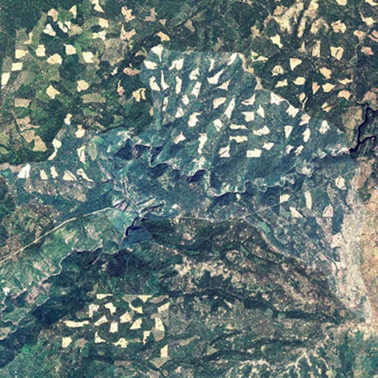 Clearcuts in the Sugar Pine Creek Watershed