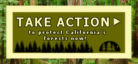 Take Action to protect California's forests now!