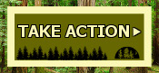 Take Action to protect California's forests now!