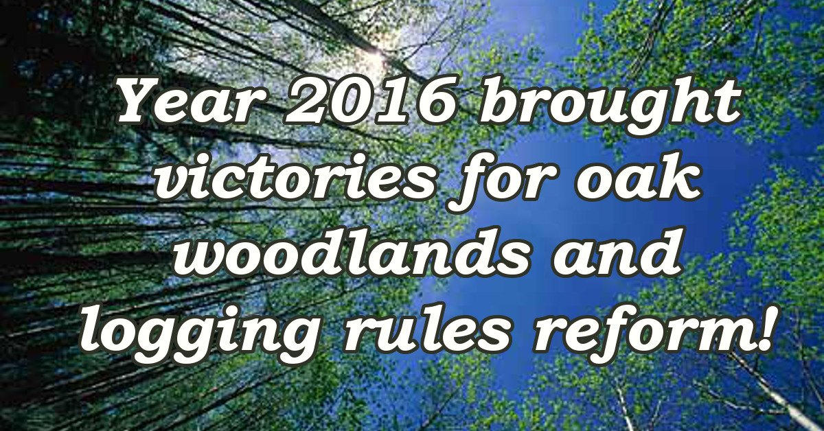 Year 2016 brought victories for oak woodlands and logging rules reform!