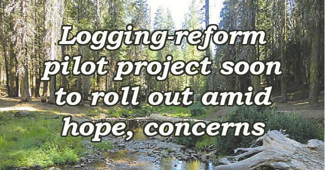 Logging-reform pilot project soon to roll out amid hope, concerns