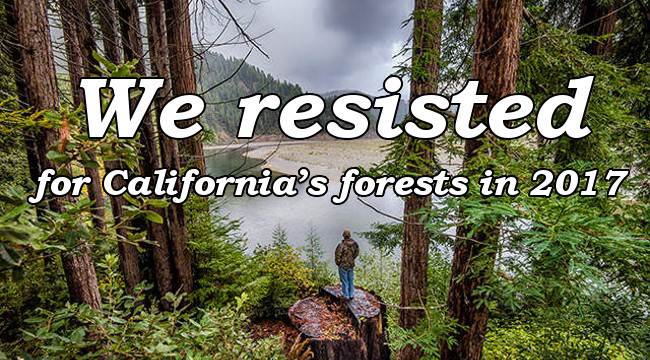 We resisted for California's forests in 2017