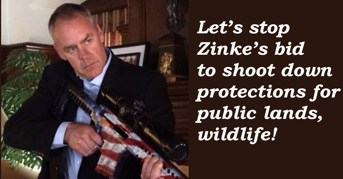 Let's stop Zinke's bid to shoot down protections for public lands, wildlife!