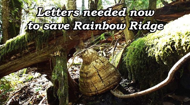 Letters needed now to save Rainbow Ridge