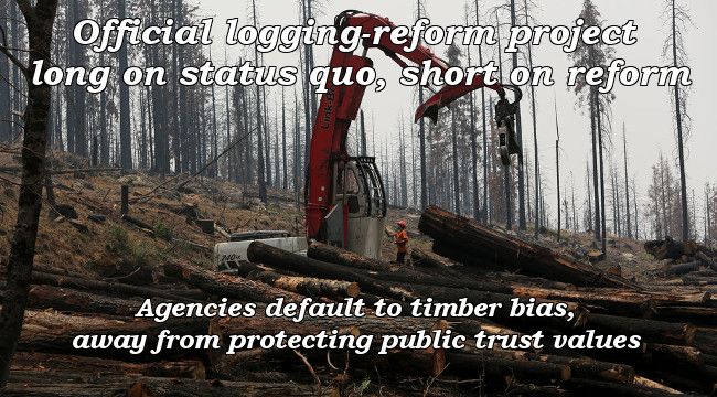 Official logging-reform project long on status quo, short on reform. Agencies default to timber bias, away from protecting public trust values