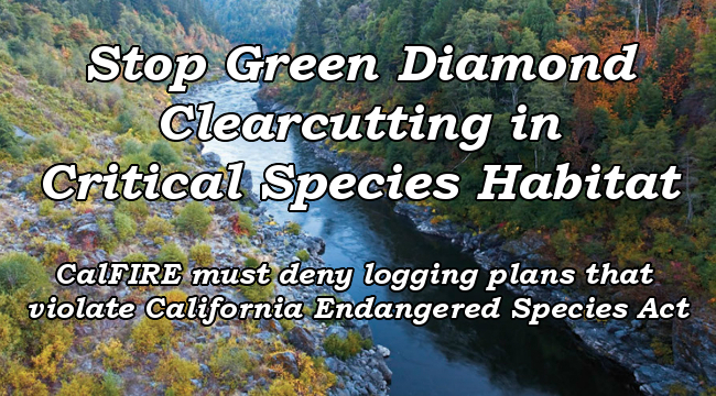 Stop Green Diamond Clearcutting in Critical Species Habitat. CalFIRE must deny logging plans that violate California Endangered Species Act.