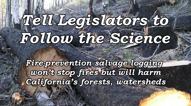 Tell Legislators to Follow the Science.  Fire-prevention salvage logging won't stop fires but will harm California's forests, watersheds