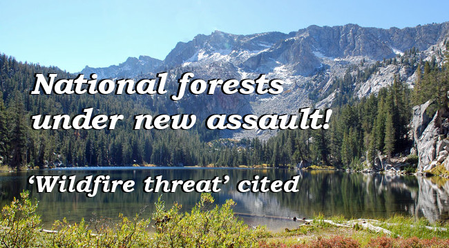 National forests, grasslands under new assault by industry