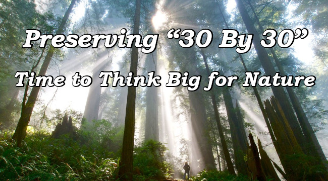 Preserving '30 By 30' Time to Think Big for Nature