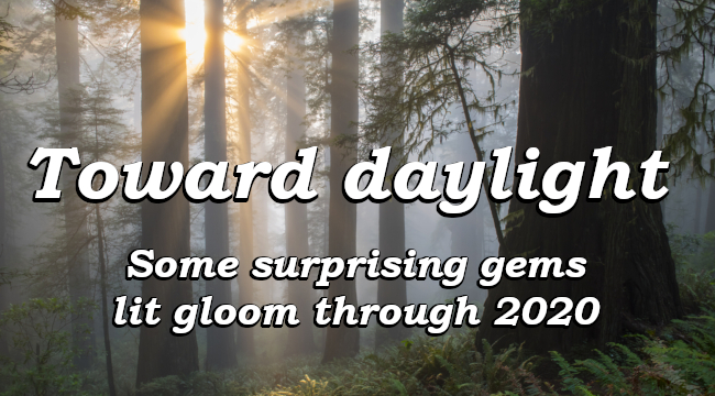 Toward daylight - Some surprising gems lit gloom through 2020