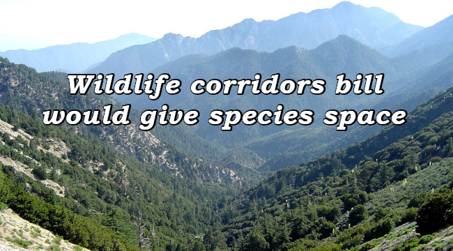 Wildlife corridors bill would give species space