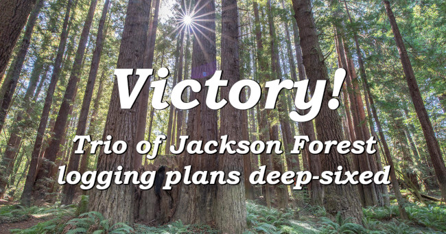Victory! Trio of Jackson Forest logging plands deep-sixed