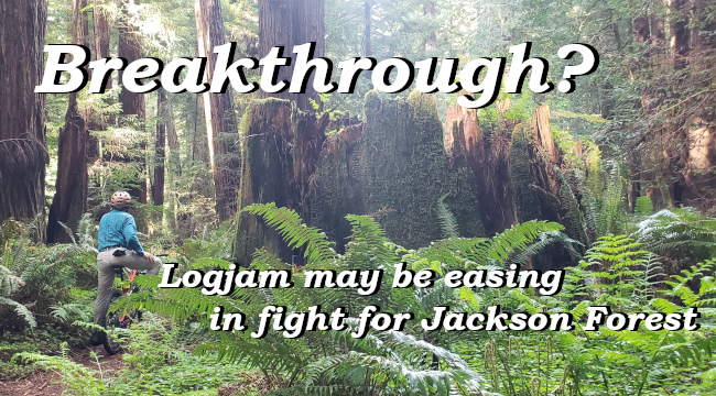 Breakthrough? Logjam may be easing in fight for Jackson Forest