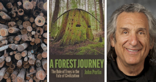 A Forest Journey Book: The Role of Trees in the Fate of Civilization by John Perlin