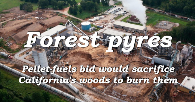 Forest pyres: Pellet-fuels bid would sacrifice California's woods to burn them
