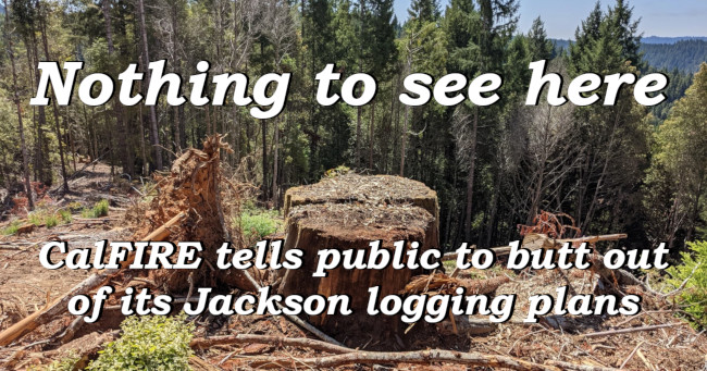 Nithing to see here: CalFIRE tells public to butt out of its Jackson logging plans