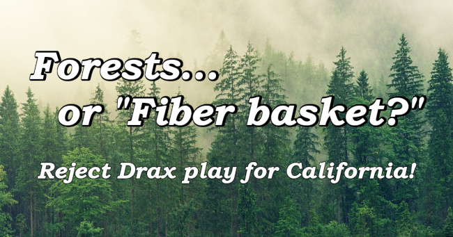 Forests... or "Fiber Basket?"     Reject Drax play for California