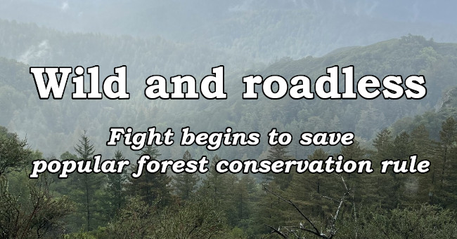 Fight begins to save popular forest conservation rule