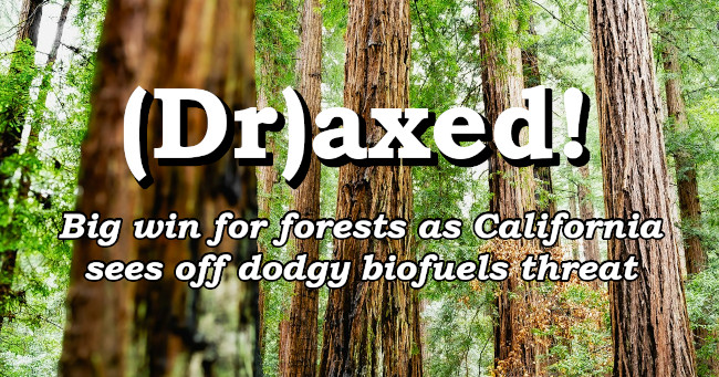 Big win for forests as California sees off dodgy biofuels threat