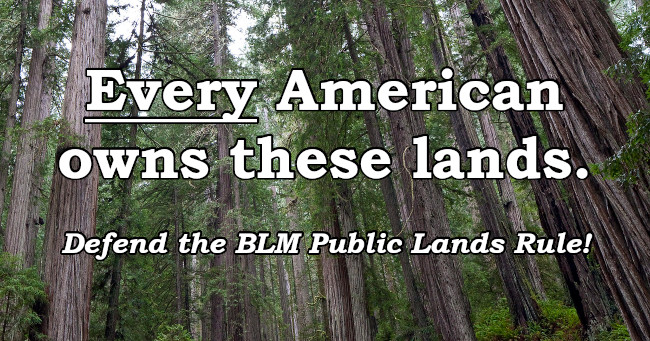 Every American owns these lands. Defend the BLM Public Lands Rule!