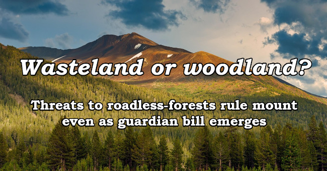 Wasteland or woodland? Threats to roadless-forests rule mount even as guardian bill emerges