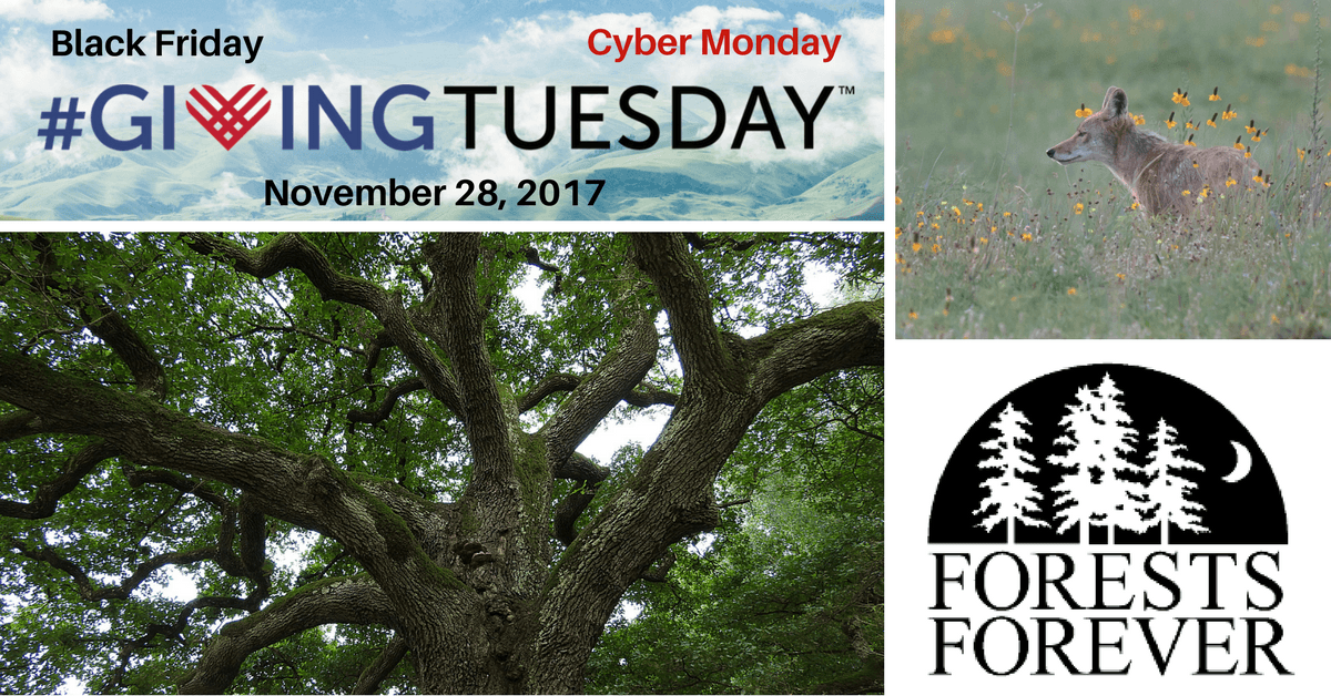 After Black Friday and Cyber Monday comes #GivingTuesday. Please save the date Nov. 28, 2017