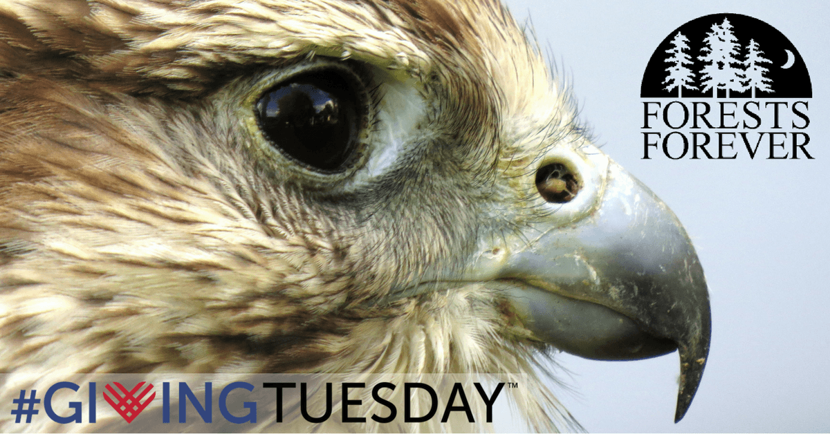 Its not too late to make your #GivingTuesday contribution