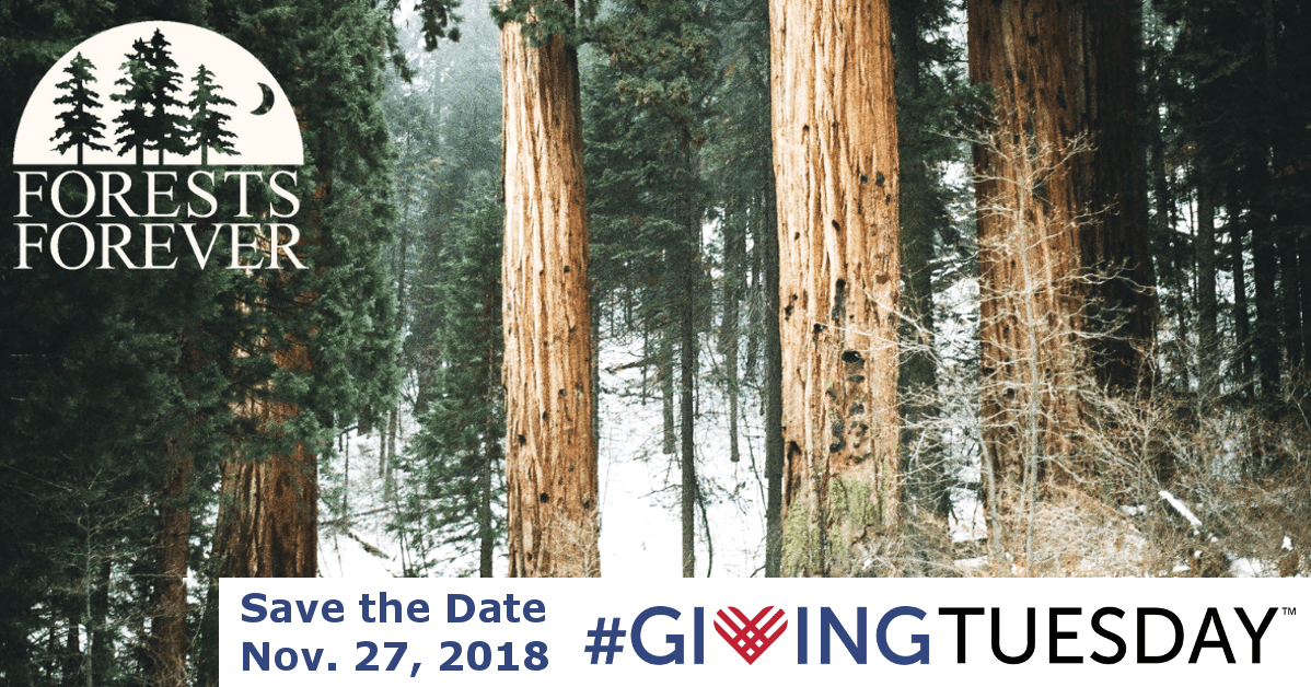 Please Save the Date, Giving Tuesday Nov. 27, 2018