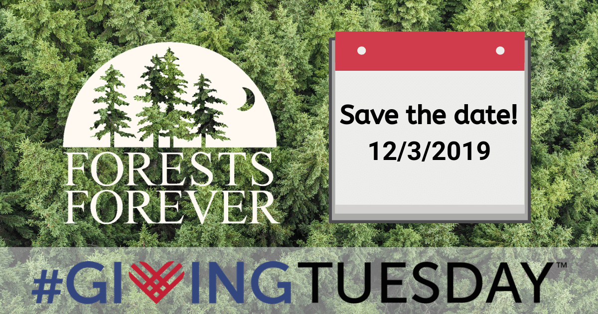 Save the date 12/3/2019 Giving Tuesday