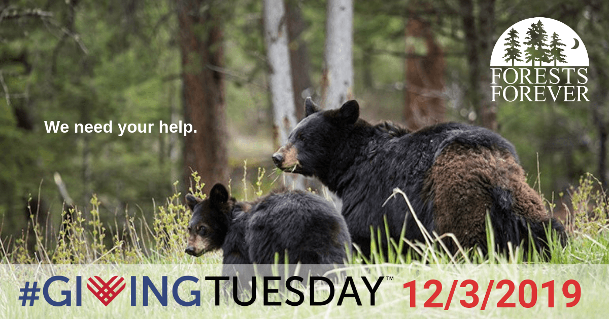 We need yoru help. #GivingTuesday 12/3/2019