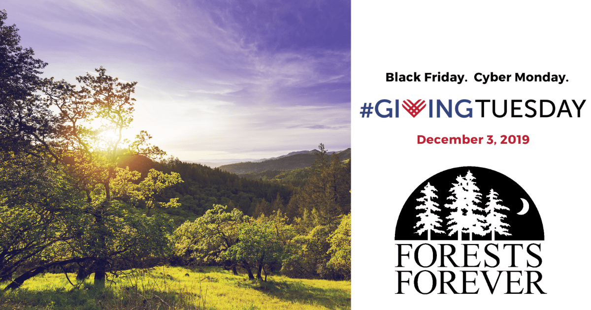 Black Friday. Cyber Monday. #GivingTuesday December 3, 2019