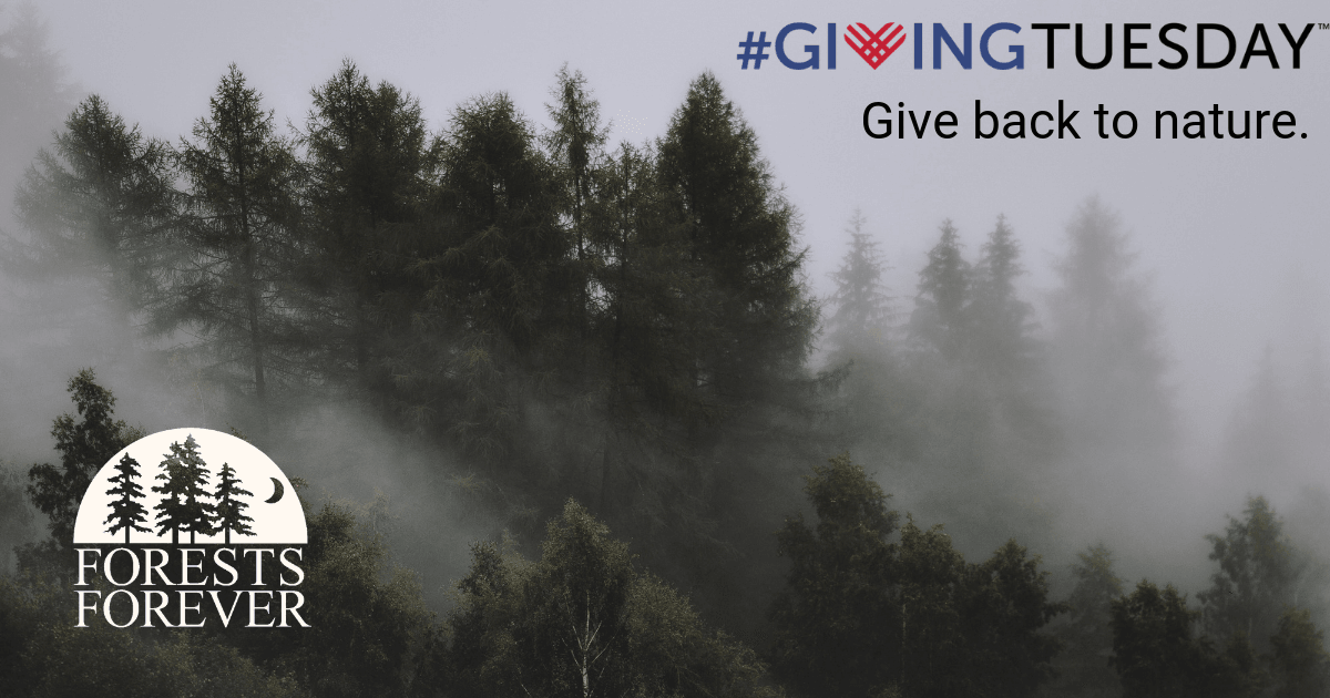 #GivingTuesday - Give back to nature.