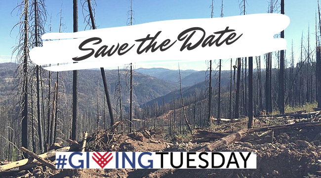 Save the Date Giving Tuesday