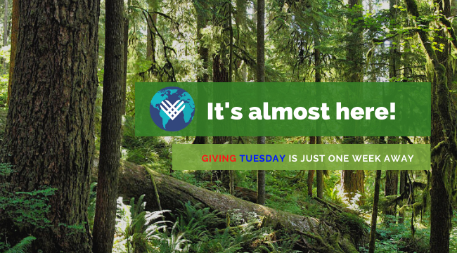 It's almot here! Giving Tuesday is just one week away.