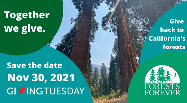 Together we give. Save the date Nov. 30, 2021 GivingTuesday!