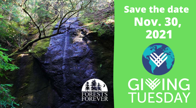 Save the Date Nov. 30, 2021 Giving Tuesday