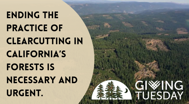 Ending the practice of clearcutting in California's forests in necessary and urgent.