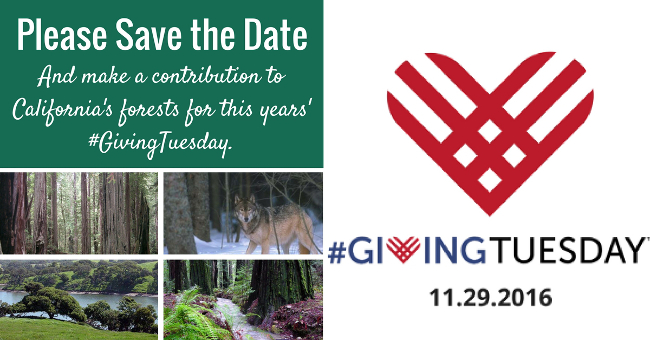 Please Save the Date - And make a contribution to California's forests for this years' #GivingTuesday!