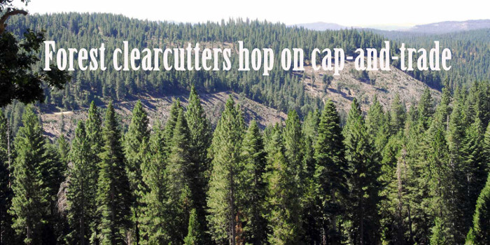 Forest clearcutters hop on cap-andtrade