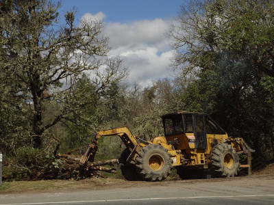 Bulldozer hauling away destroyed oaks by Hwy 101 in Mendocino County, CA