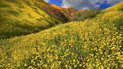 Carrizo Plain National Monument, California