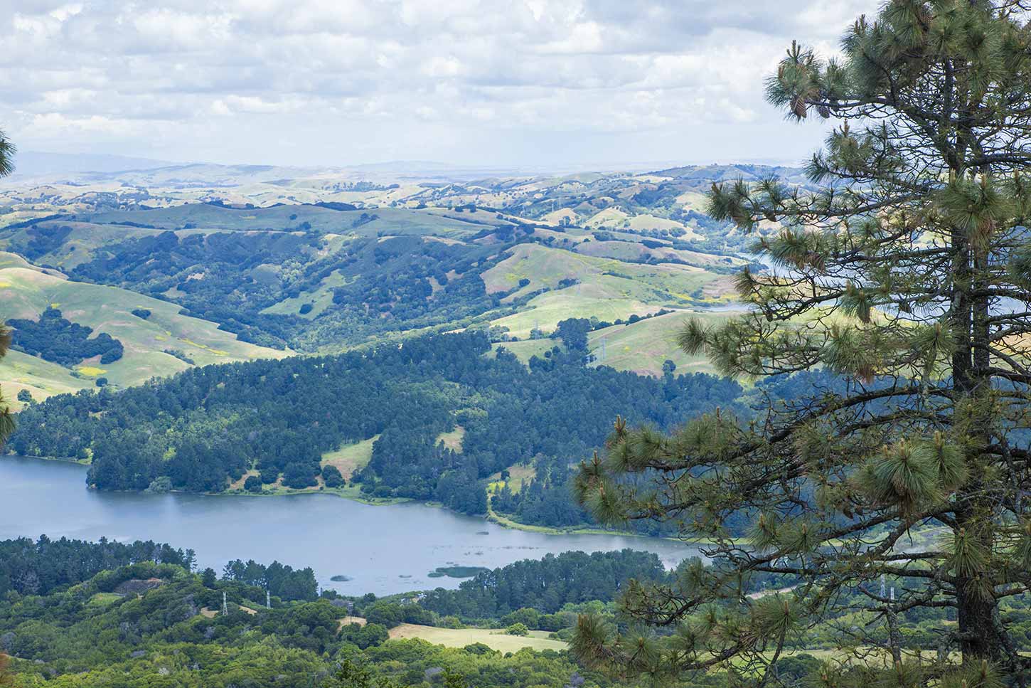 Wildcat Canyon Regional Park, Richmond California