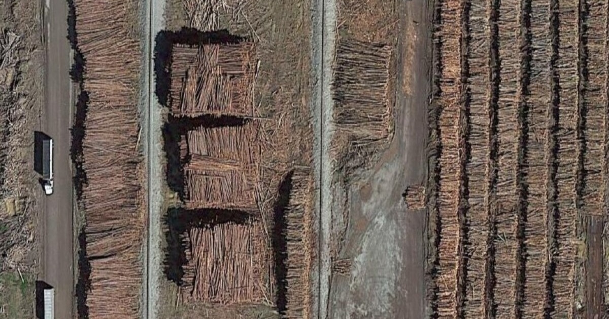 log piles